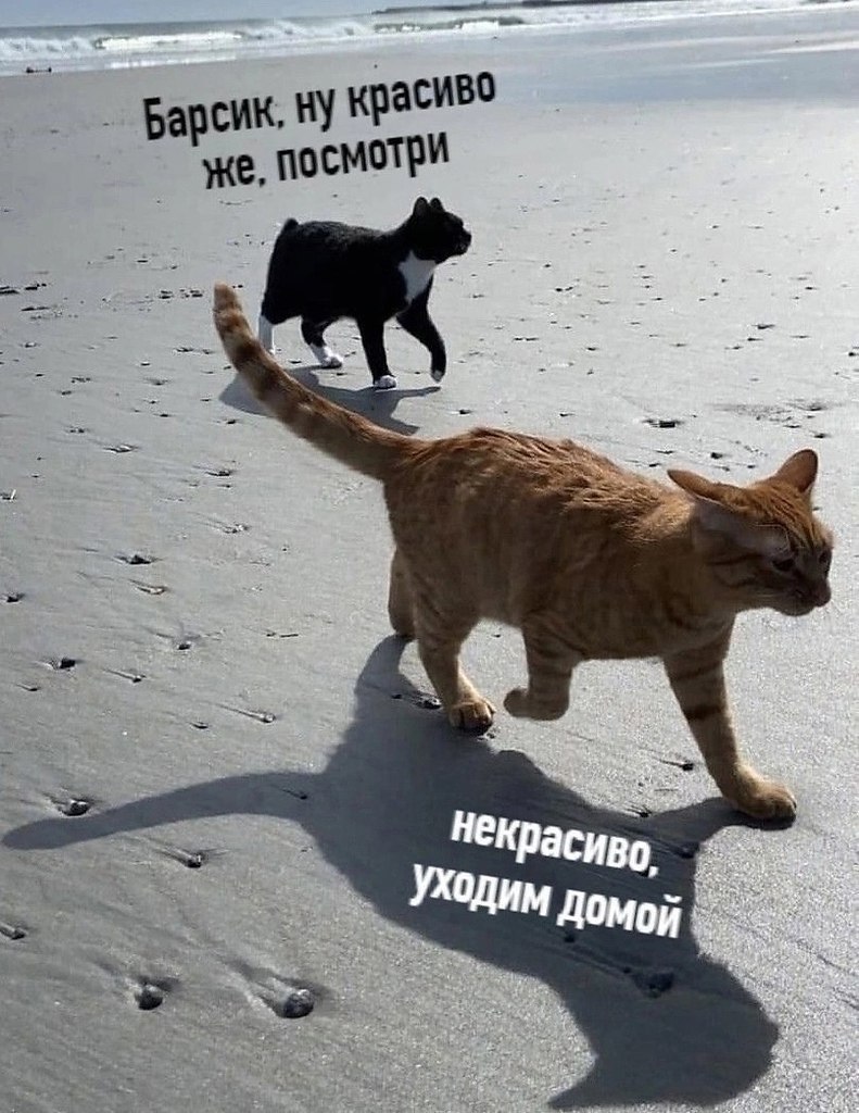 �o� coc������ ���� ���o�: - 5