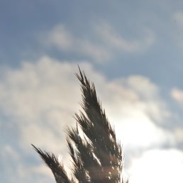 ����, ������, 32 ����