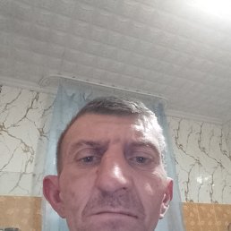 , 40, 