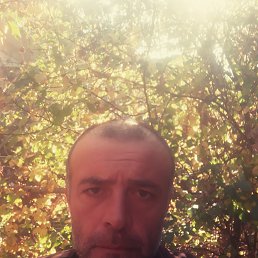 Hovo, 41, 