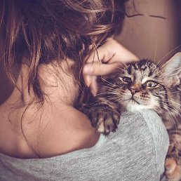 ��������, ������, 39 ���