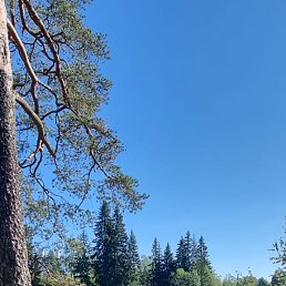 ����, 58 ���, �����-���������