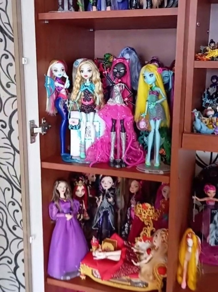 Жительница Волгограда разместила в интернете фотографии стола и коллекции игрушек своего 18-летнего ... - 2