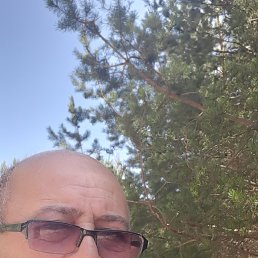 , 56, 