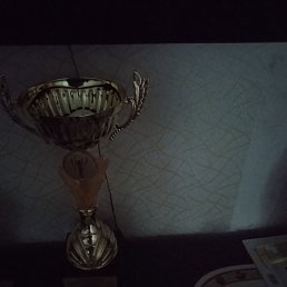 ���� David, �����, 23 ���� - ��������� 28 ������ 2024