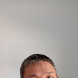 , 39, 