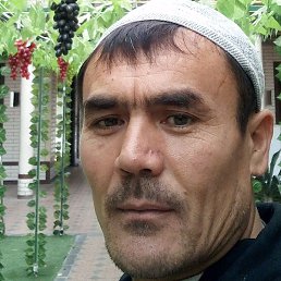 Oribjon, �������, 42 ����