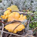 ���� �����, ������ - ��������� 30 ������� 2025 � ������ ���� ����������