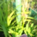 ���� �������, ������-����, 63 ���� - ��������� 24 ���� 2024