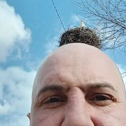 , 54 , 
