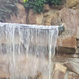 �����, ���������, 49 ���