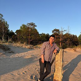 ����, �����������, 43 ����