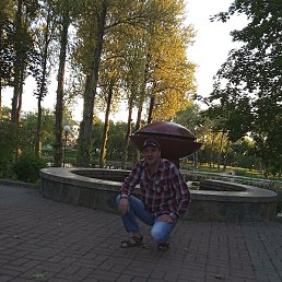 ����, ������, 43 ����