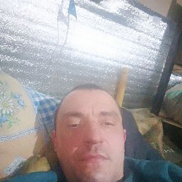 , 43, 