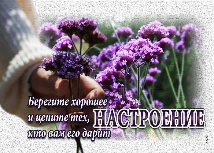  - 8  2024  11:01