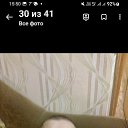 ���� ��������, �������, 51 ��� - ��������� 5 ������ 2023
