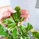 ���� ������, ���������� - ��������� 3 ���� 2025 � ������ ���� ����������