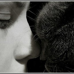  Nelegalka, , 37  -  28  2025