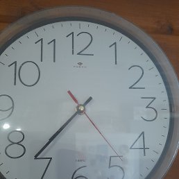 ���� �������, ������ ��������, 45 ��� - ��������� 15 ����� 2024
