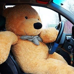 ����, ���������, 48 ���