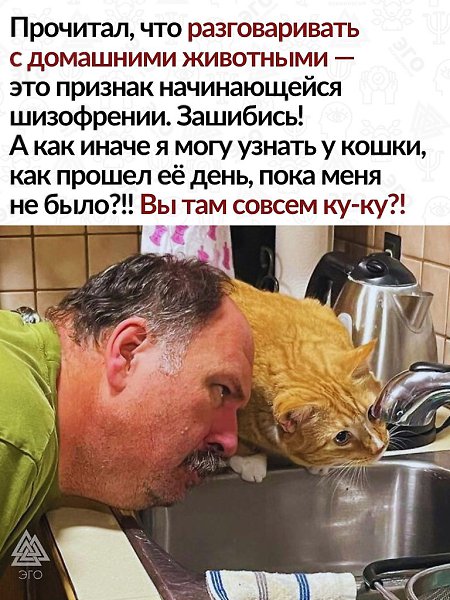 Я из тех людей, кто считает психами людей, не разговаривающих с животными
