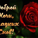 ���� �����, ����� - ��������� 18 ���� 2026 � ������ ������ ��������