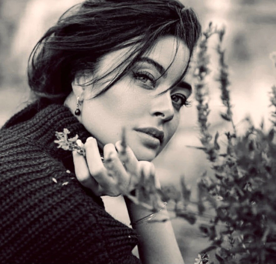  .    ,  ,  ,  ,   , , ...