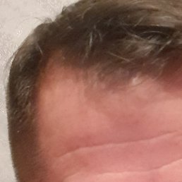 ����, �������, 41 ���