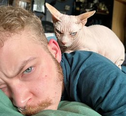 �����������