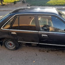 ���� �����, ����, 54 ���� - ��������� 10 ����� 2024