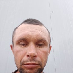 , 37 , 