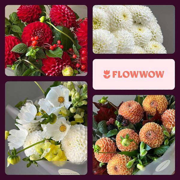     !  ?     Flowwow ...