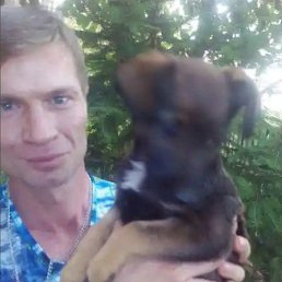 �����, �������, 48 ���