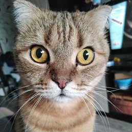 ���� ������, ����, 48 ��� - ��������� 20 ���� 2025