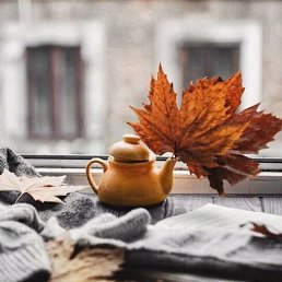 ���� �������, ������, 56 ��� - ��������� 7 ���� 2025