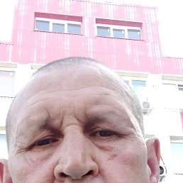 ������, �������, 46 ���