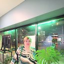 ���� ����, ������ - ��������� 8 ��� 2026