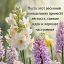 ���� �������, ���� - ��������� 20 ������ 2026 � ������ ������ ��������