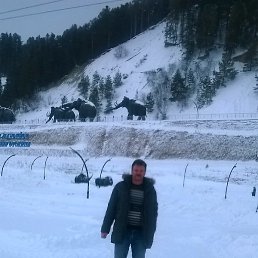 ��������, �����, 54 ����