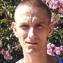 ����, ������, 42 ����