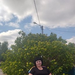 ���� ����, ��������, 56 ��� - ��������� 27 ��� 2025