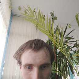 , 27, 