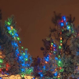 �����, ������, 35 ���