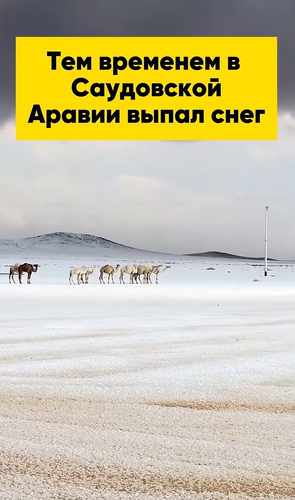 ��� �������� � ���������� ������ ����� ����. ������ ������� ��������� �������� ������ � ���-�� ��-�� ...