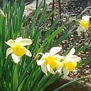 ���� ���������, ���������� - ��������� 14 ��� 2025 � ������ ���� ������