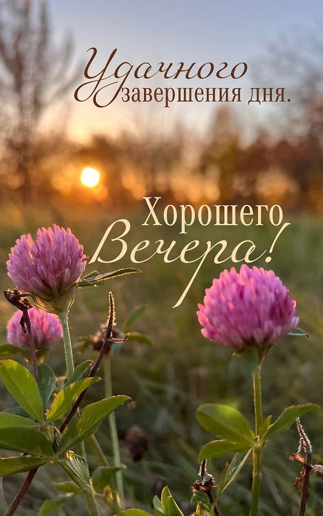 �������� ������ - 4 ���� 2026 � 17:03