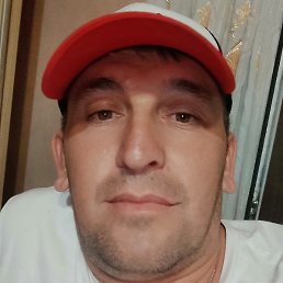 ����, �������, 40 ���