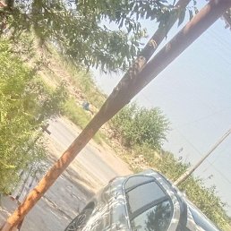 ������, �������, 45 ���