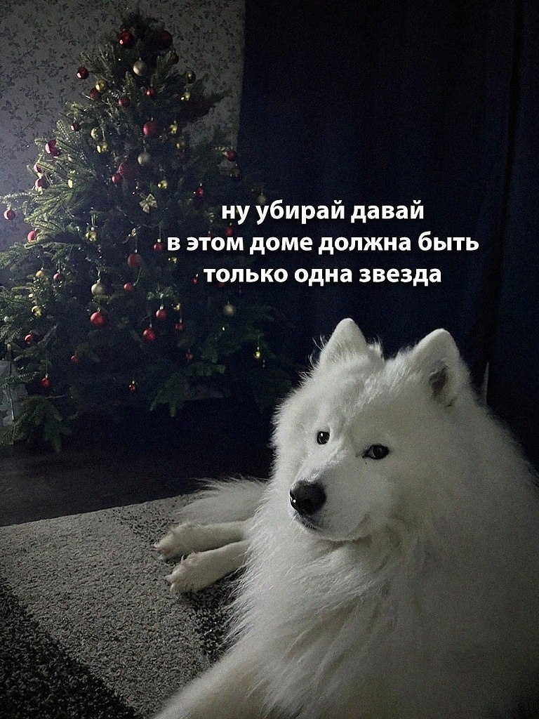    - 9  2025  00:27