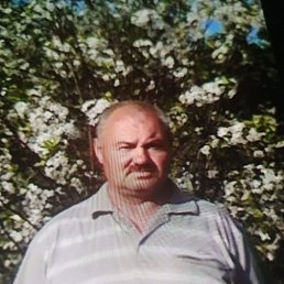 ����, 63 ����, ���������